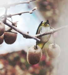 反対から写してよ。