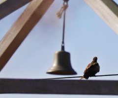 あの鐘を鳴らすは…