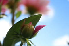 開いたの、私だけ