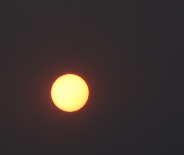 太陽