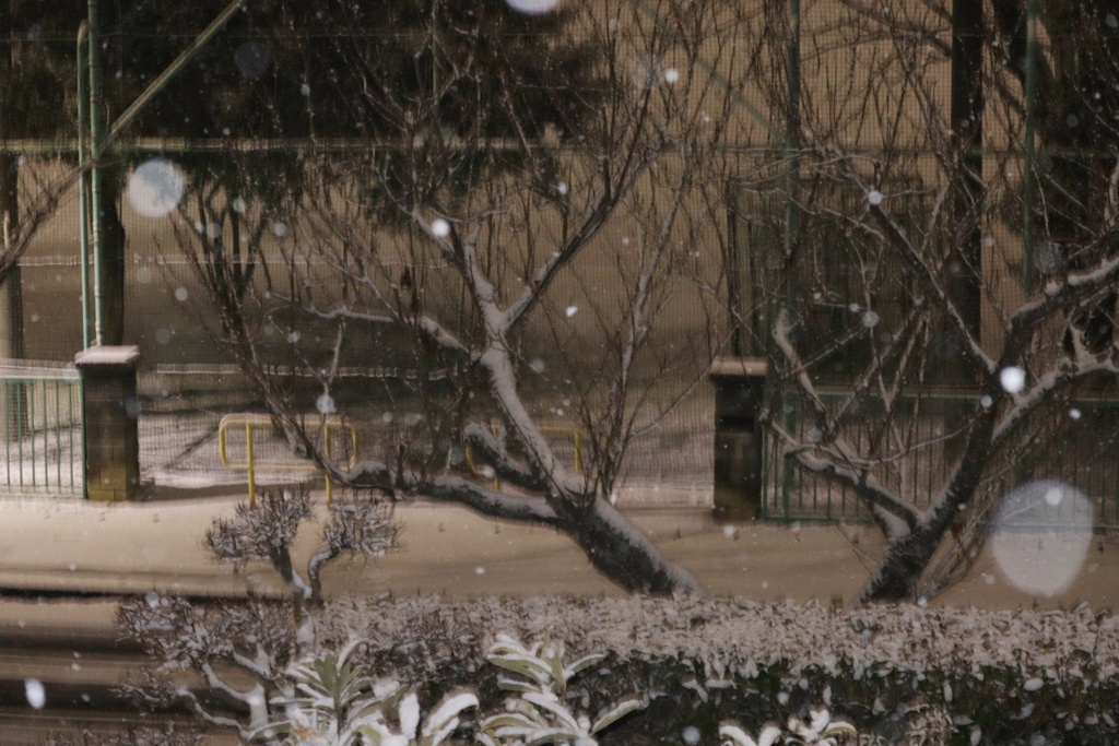 雪の夜
