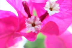 今日の写真26〜2