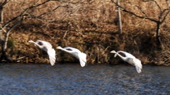 大きく羽ばたこう❗️