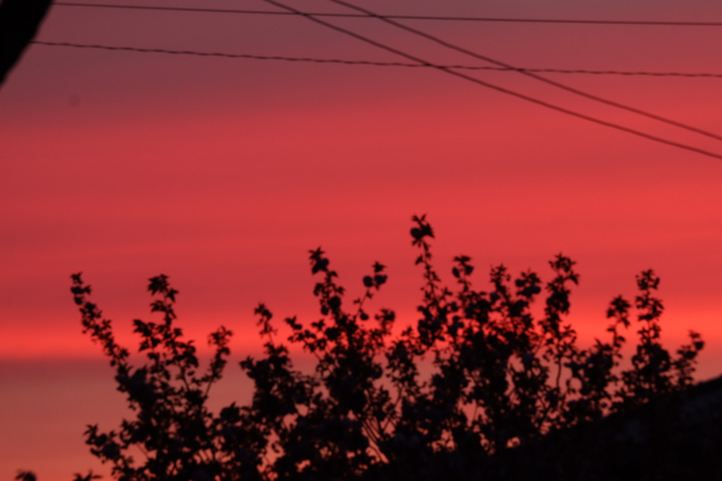 燃える様な夕焼け