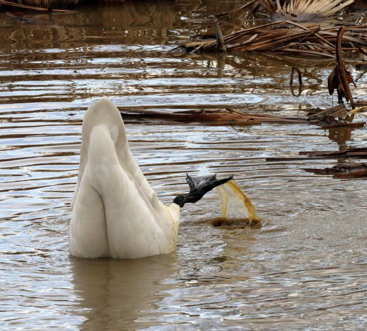 何かあるのかな。