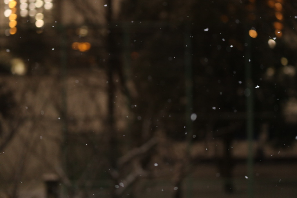 降り始めの雪