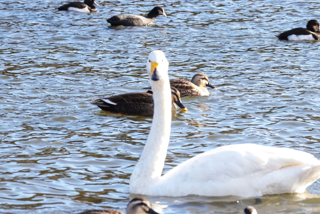 何、見てるのよ❗️