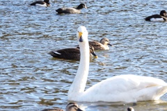 何、見てるのよ❗️