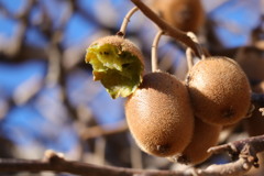 食べたのはだ〜れだ❗️