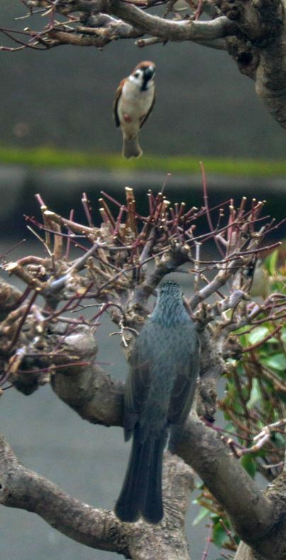 今年、初写真　2