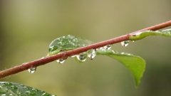 水滴の世界