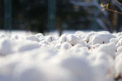 雪の雲海