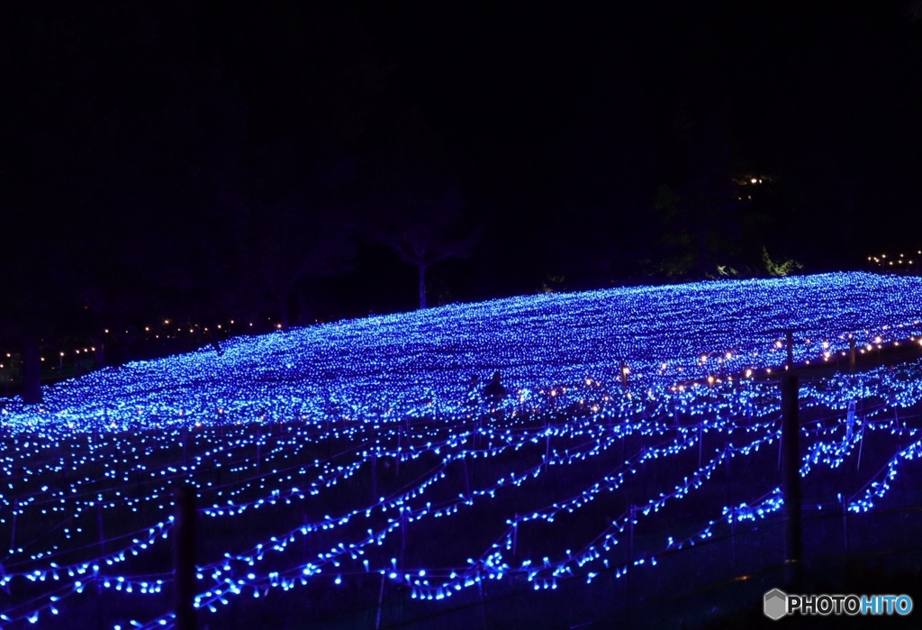イルミネーション1