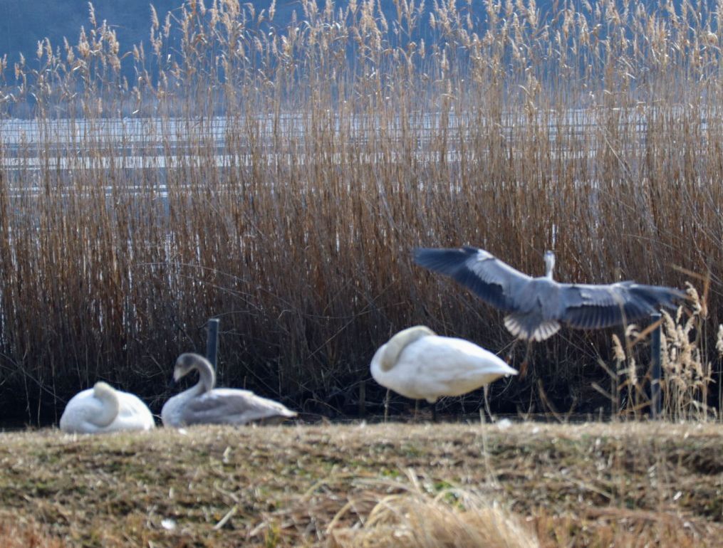 私だけ、違うの？