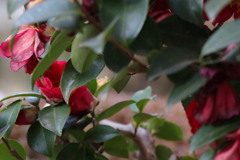 そろそろ終わり