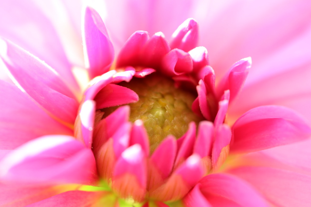 4日の写真　1