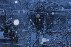 雪降る夜