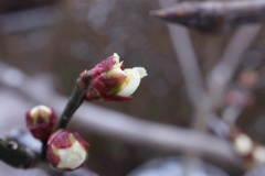 これからです。