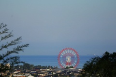 日本海