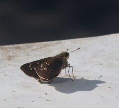 20231014083830_IMG_5707~2