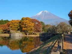 秋色を纏った富士