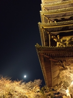 月夜に黄金に輝く東寺五重塔
