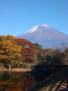 秋色を纏った富士