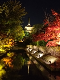 東寺夜間拝観