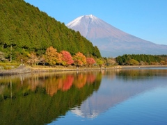 秋色に染まる湖岸と逆さ富士