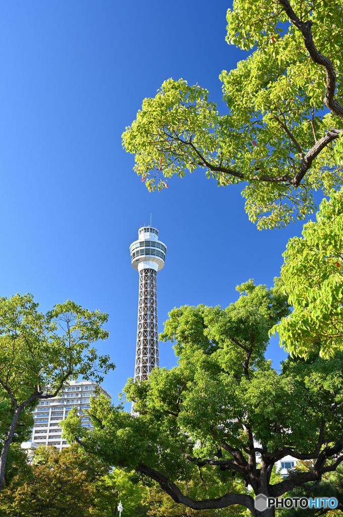 横浜山下公園にて