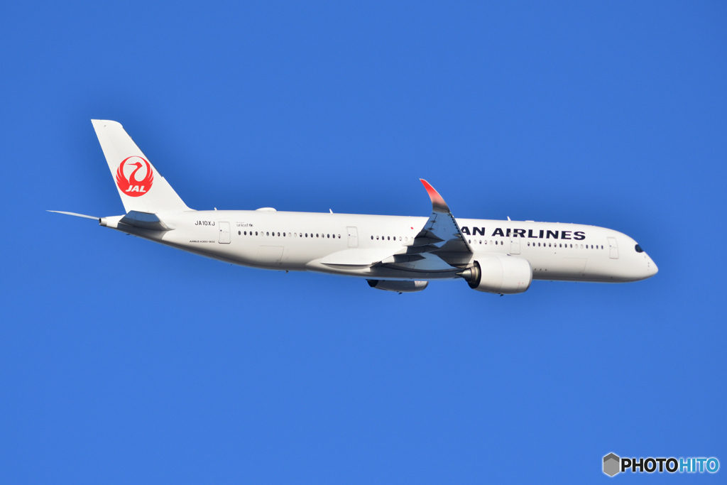 日本航空 Airbus A350-900