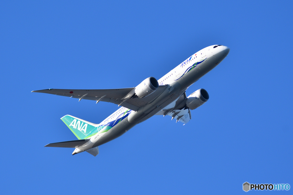 ANA Boeing787-8