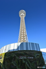 横浜マリンタワー