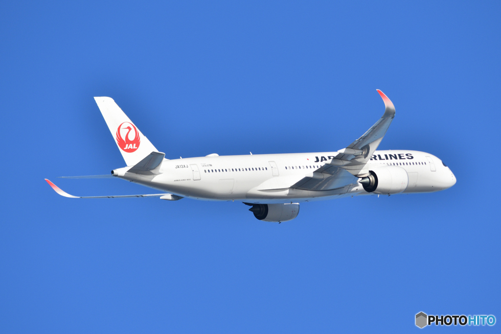 日本航空 Airbus A350-900