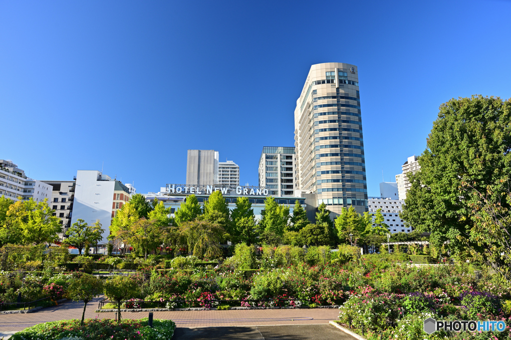 山下公園にて