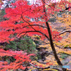 御岳昇仙峡にて