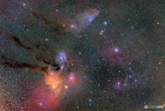青い馬星雲とアンタレス
