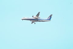 飛行機