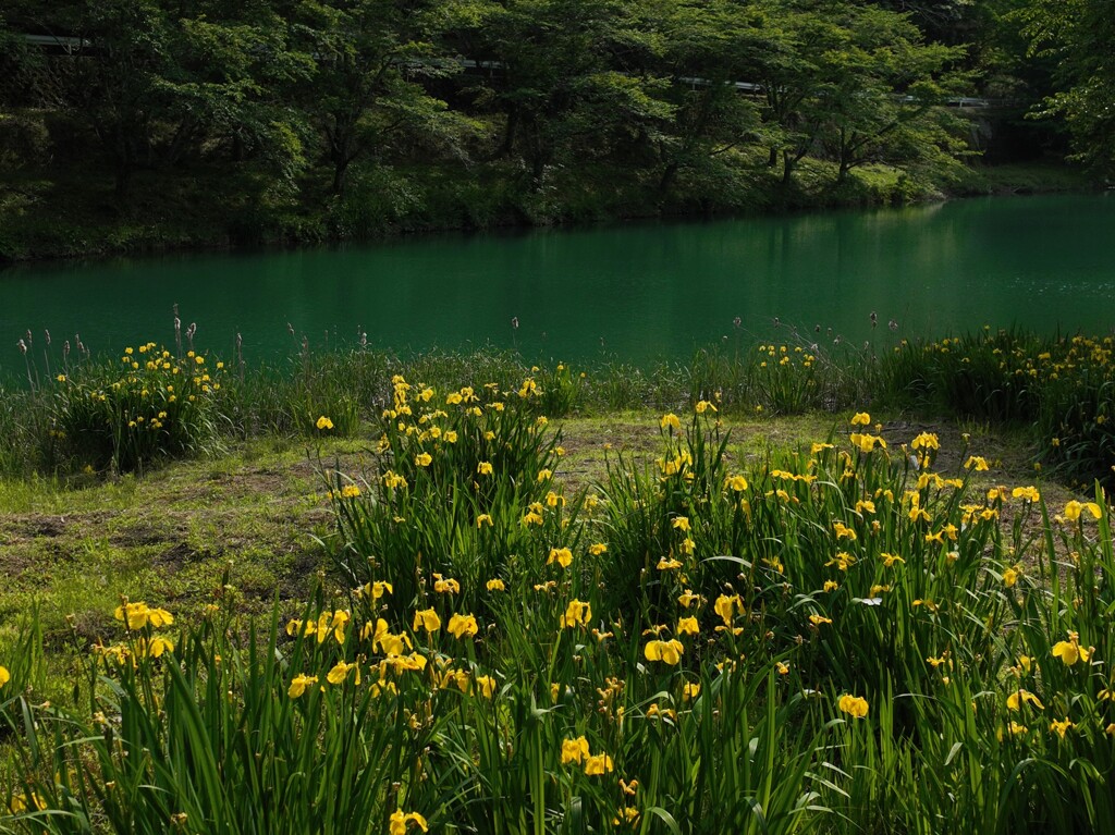 桂川渓谷