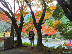 成川渓谷の紅葉