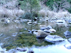 真冬の成川渓谷
