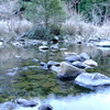 真冬の成川渓谷