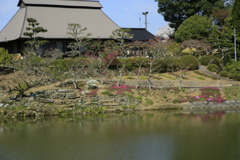 尾首の池の春