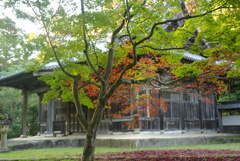 如法寺。大洲市にて撮影 2024-11-20 16-29-20