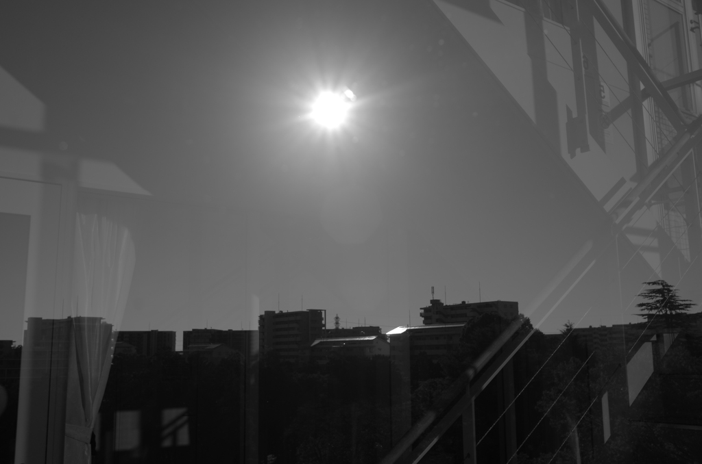 Sunny Side 1