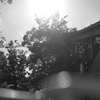 昭和２
