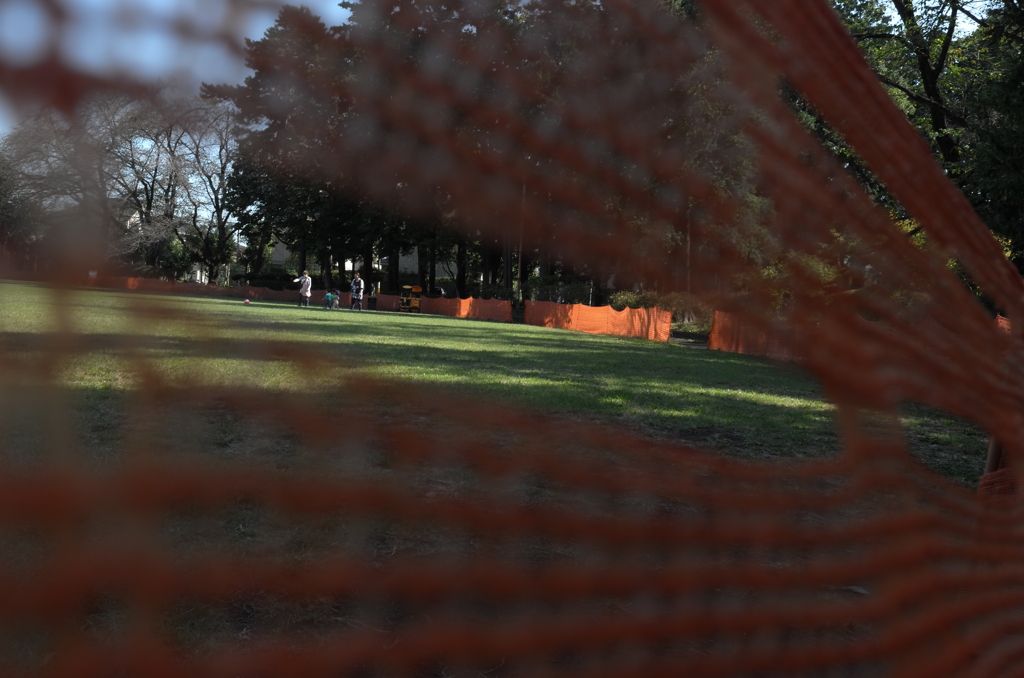 Orange Color