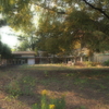 PB051817