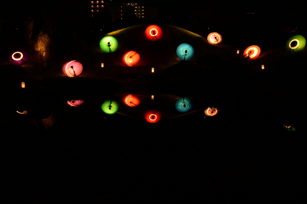 DSC_2650