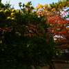 PB051850
